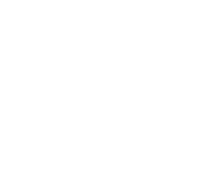 Participarade Hoogvliet